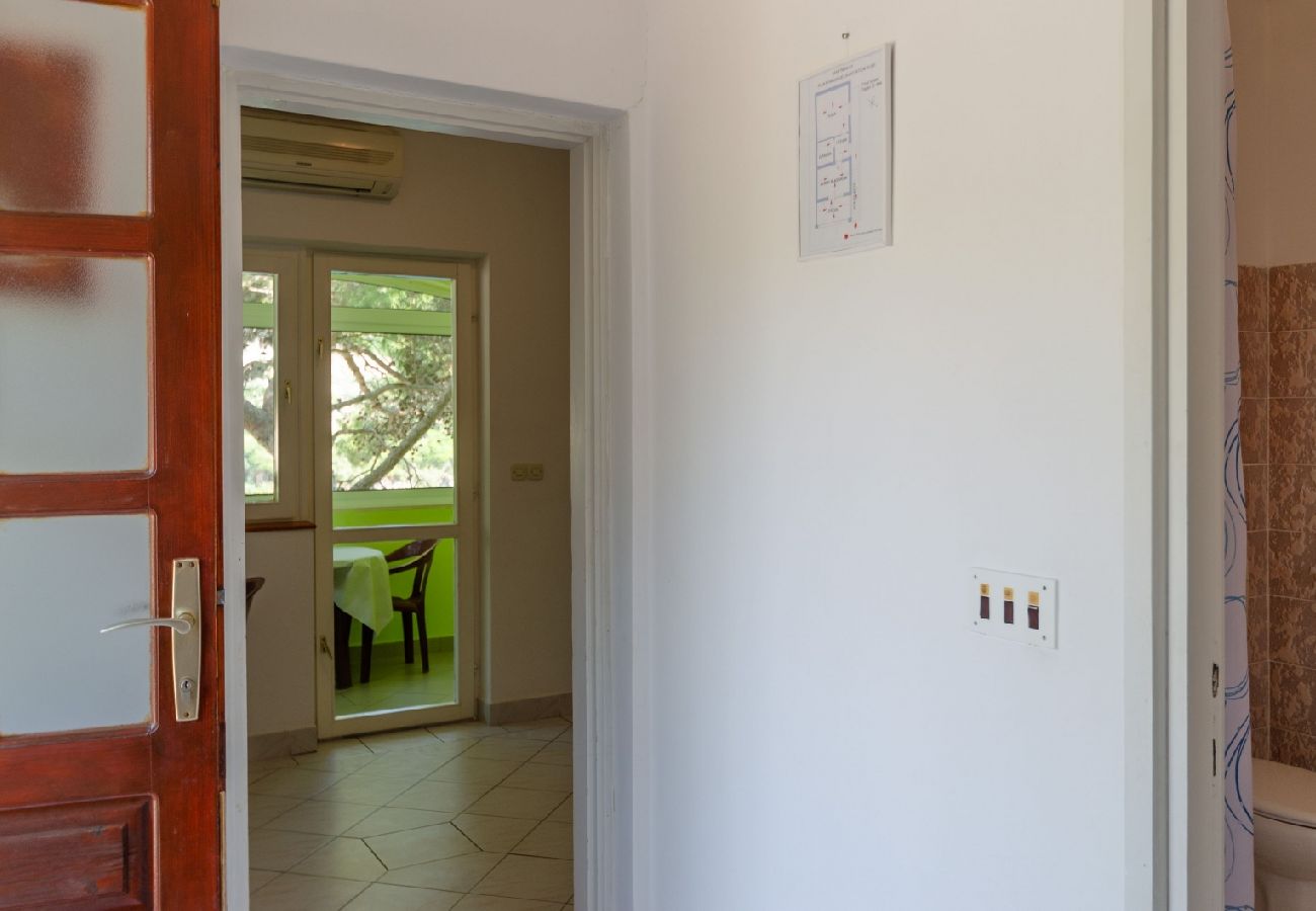 Apartamento en Karbuni - Apartamento en Karbuni con Seaview, Balcón, Acondicionador (217-2)