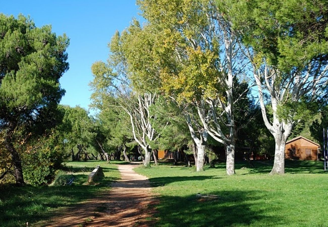 Casa en Savudrija - Casa de vacaciones en Savudrija con Terraza, Acondicionador, WIFI, Lavadora (123-11)