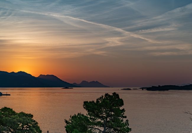 Apartamento en Orebic - Apartamento en Orebić con Seaview, Terraza, Acondicionador, WIFI (829-5) Apartamento en Orebic - Apartamento en Orebić con Seaview, Terraza, Acondicionador, WIFI (829-5)