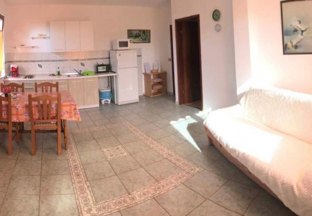 Apartamento en Rovinj - Apartamento en Rovinj con Terraza, Acondicionador, WIFI, Lavadora (870-1)