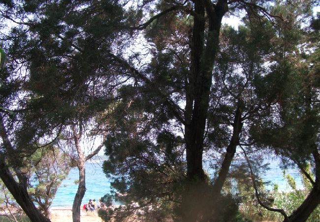 Apartamento en Lumbarda - Apartamento en Lumbarda con Seaview, Terraza, Acondicionador, Lavadora (876-2) Apartamento en Lumbarda - Apartamento en Lumbarda con Seaview, Terraza, Acondicionador, Lavadora (876-2)