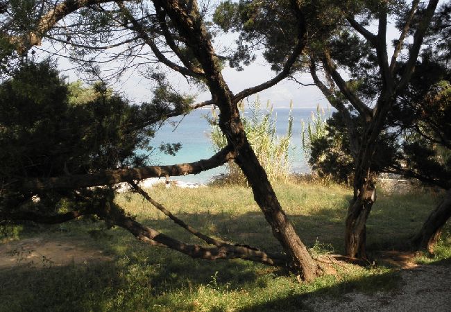 Apartamento en Lumbarda - Apartamento en Lumbarda con Seaview, Terraza, Acondicionador, Lavadora (876-2) Apartamento en Lumbarda - Apartamento en Lumbarda con Seaview, Terraza, Acondicionador, Lavadora (876-2)