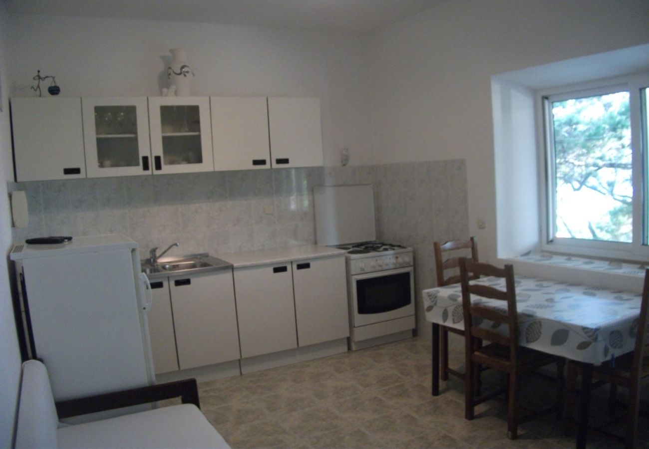 Apartamento en Lumbarda - Apartamento en Lumbarda con Seaview, Terraza, Acondicionador, Lavadora (876-2)