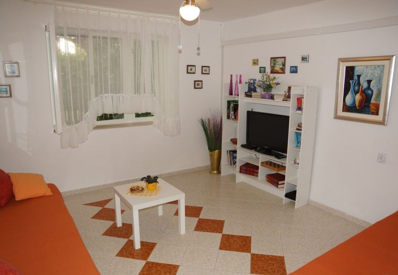 Apartamento en Privlaka - Apartamento en Sabunike con Terraza, Acondicionador, WIFI, Lavadora (231-1)