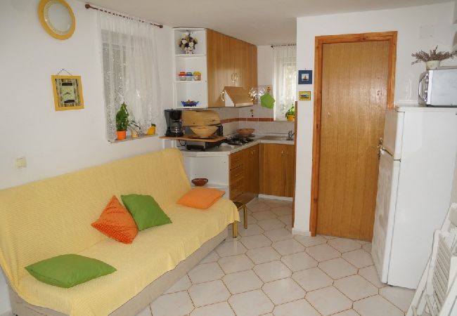 Apartamento en Privlaka - Apartamento en Sabunike con Terraza, Acondicionador, WIFI (231-2) Apartamento en Privlaka - Apartamento en Sabunike con Terraza, Acondicionador, WIFI (231-2)