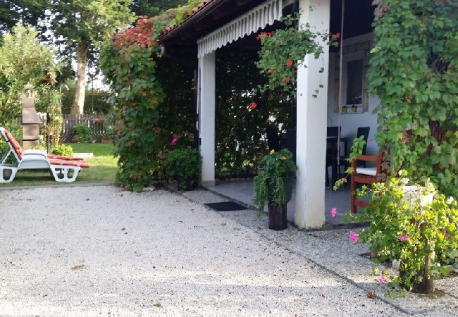 Apartamento en Privlaka - Apartamento en Sabunike con Terraza, Acondicionador, WIFI (231-2) Apartamento en Privlaka - Apartamento en Sabunike con Terraza, Acondicionador, WIFI (231-2)