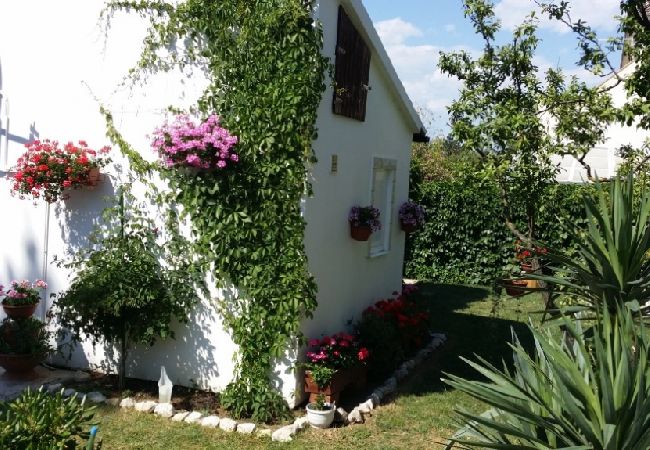 Apartamento en Privlaka - Apartamento en Sabunike con Terraza, Acondicionador, WIFI (231-2) Apartamento en Privlaka - Apartamento en Sabunike con Terraza, Acondicionador, WIFI (231-2)