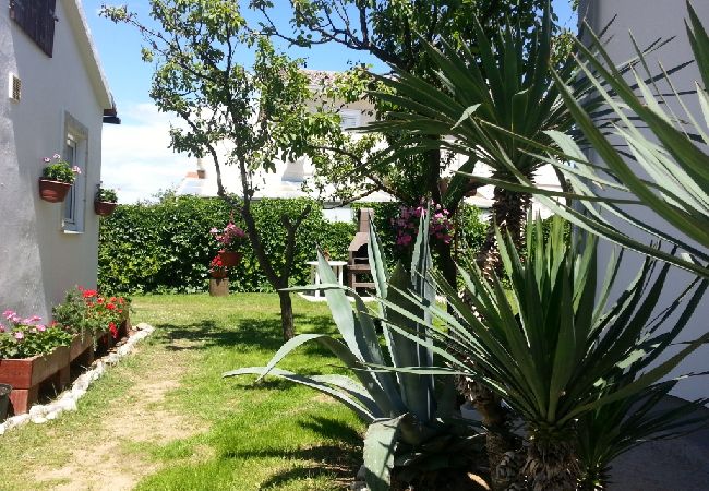 Apartamento en Privlaka - Apartamento en Sabunike con Terraza, Acondicionador, WIFI (231-2) Apartamento en Privlaka - Apartamento en Sabunike con Terraza, Acondicionador, WIFI (231-2)