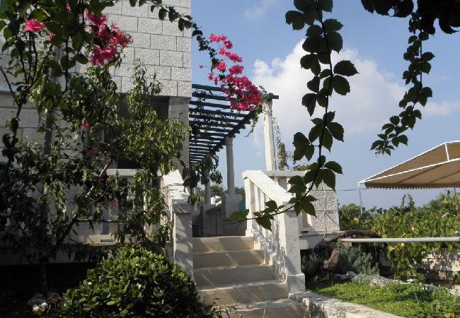 Apartamento en Lumbarda - Apartamento en Lumbarda con Seaview, Terraza, WIFI, Lavadora (869-2) Apartamento en Lumbarda - Apartamento en Lumbarda con Seaview, Terraza, WIFI, Lavadora (869-2)