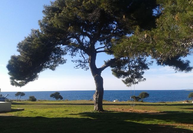 Estudio en Veli Rat - Apartamento Estudio en Veli Rat con Seaview, Balcón, Lavadora (882-1) Estudio en Veli Rat - Apartamento Estudio en Veli Rat con Seaview, Balcón, Lavadora (882-1)