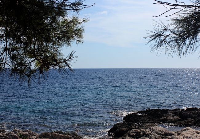 Estudio en Veli Rat - Apartamento Estudio en Veli Rat con Seaview, Balcón, Lavadora (882-1) Estudio en Veli Rat - Apartamento Estudio en Veli Rat con Seaview, Balcón, Lavadora (882-1)