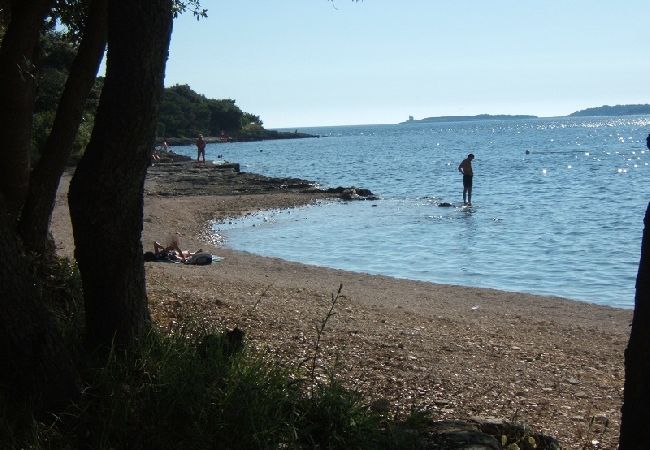 Apartamento en Štinjan - Apartamento en Štinjan con Seaview, Acondicionador, WIFI, Lavadora (3326-1) Apartamento en Štinjan - Apartamento en Štinjan con Seaview, Acondicionador, WIFI, Lavadora (3326-1)