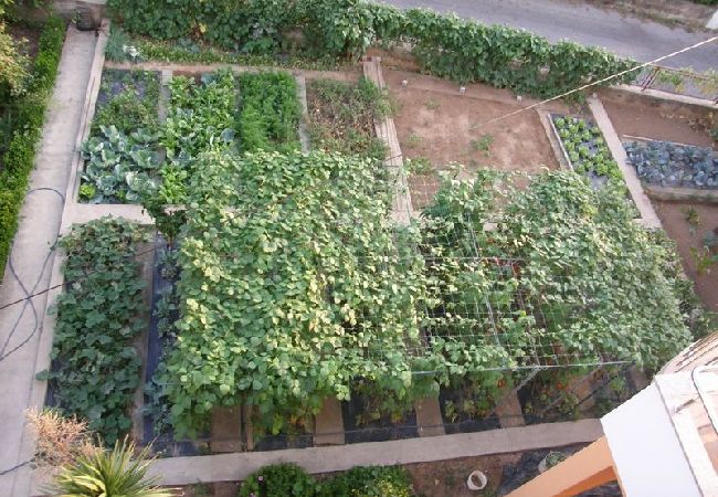 Apartamento en Vodice - Apartamento en Vodice con Seaview, Terraza, Acondicionador, WIFI (3335-3) Apartamento en Vodice - Apartamento en Vodice con Seaview, Terraza, Acondicionador, WIFI (3335-3)