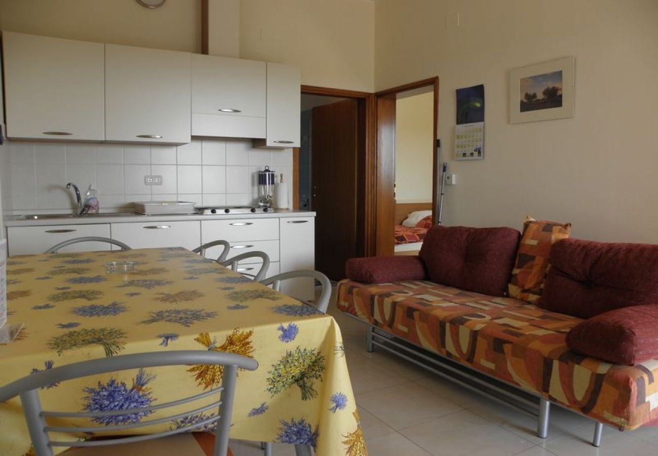 Apartamento en Premantura - Apartamento en Premantura con Terraza, Acondicionador, WIFI, Lavadora (3352-26)