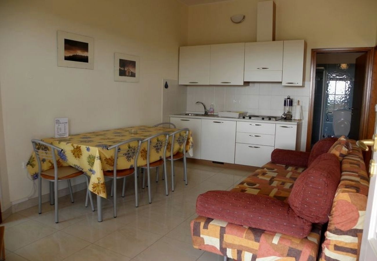 Apartamento en Premantura - Apartamento en Premantura con Terraza, Acondicionador, WIFI, Lavadora (3352-26)