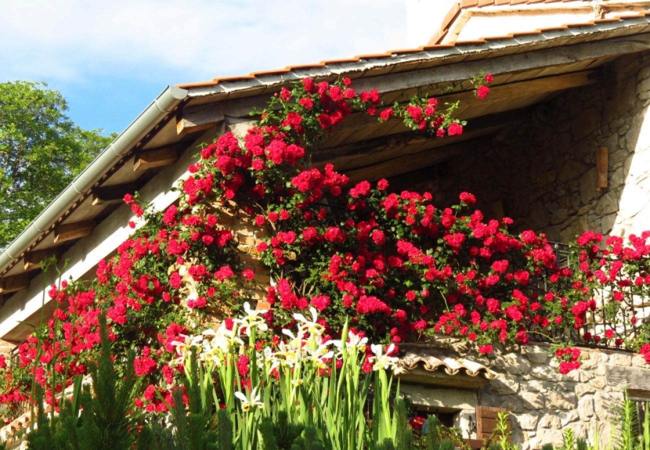 Casa en Roc - Casa de vacaciones en Roč con Terraza, Acondicionador, WIFI, Lavadora (3458-1)