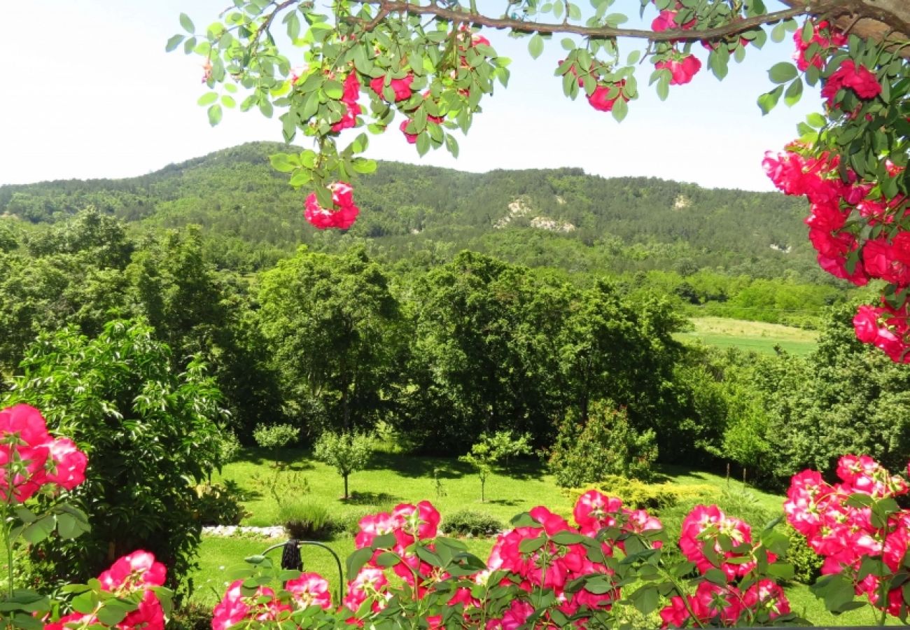 Casa en Roc - Casa de vacaciones en Roč con Terraza, Acondicionador, WIFI, Lavadora (3458-1)