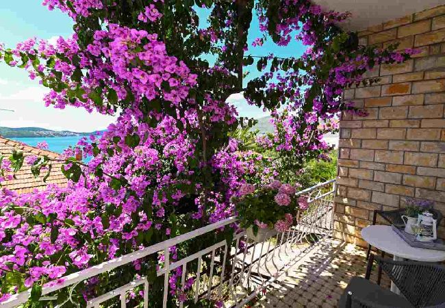 Apartamento en Trogir - Apartamento en Trogir con Seaview, Balcón, Acondicionador, WIFI (3459-1) Apartamento en Trogir - Apartamento en Trogir con Seaview, Balcón, Acondicionador, WIFI (3459-1)