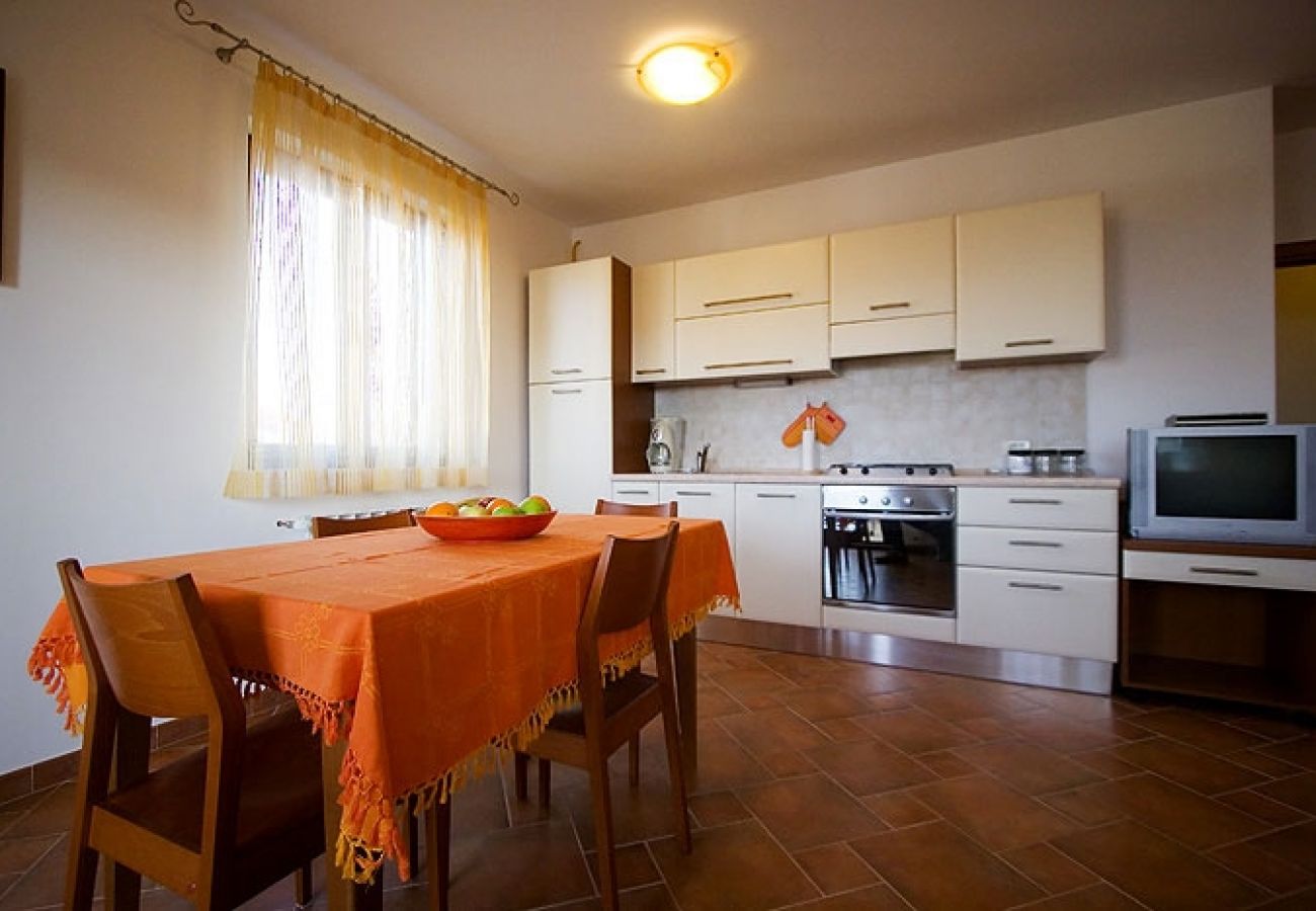 Apartamento en Rovinj - Apartamento en Rovinj con Terraza, Acondicionador, WIFI, Lavadora (3482-5)