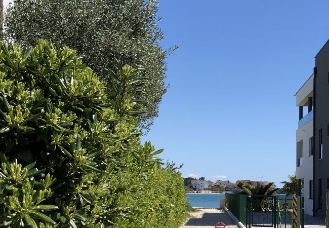 Apartamento en Sukošan - Apartamento en Sukošan con Seaview, Terraza, Acondicionador, WIFI (3495-5) Apartamento en Sukošan - Apartamento en Sukošan con Seaview, Terraza, Acondicionador, WIFI (3495-5)