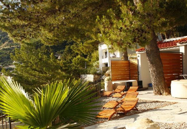 Apartamento en Brela - Apartamento en Brela con Seaview, Terraza, Acondicionador, WIFI (3524-2) Apartamento en Brela - Apartamento en Brela con Seaview, Terraza, Acondicionador, WIFI (3524-2)