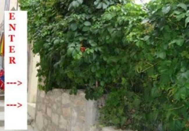 Apartamento en Prvic Luka - Apartamento en Prvić Luka con Seaview, Terraza, Acondicionador, WIFI (3347-1) Apartamento en Prvic Luka - Apartamento en Prvić Luka con Seaview, Terraza, Acondicionador, WIFI (3347-1)