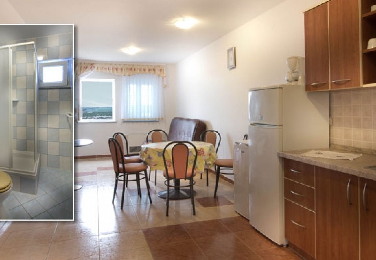 Apartamento en Novalja - Apartamento en Novalja con Seaview, Terraza, Acondicionador, WIFI (3565-1)