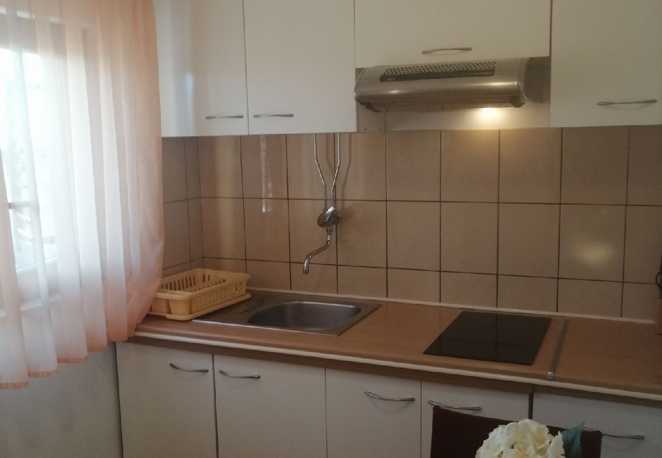 Apartamento en Privlaka - Apartamento en Privlaka con Seaview, Terraza, Acondicionador, WIFI (3591-2)