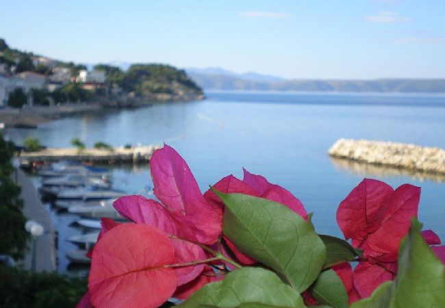 Apartamento en Drašnice - Apartamento en Drašnice con Seaview, Balcón, Acondicionador, WIFI (3586-1) Apartamento en Drašnice - Apartamento en Drašnice con Seaview, Balcón, Acondicionador, WIFI (3586-1)