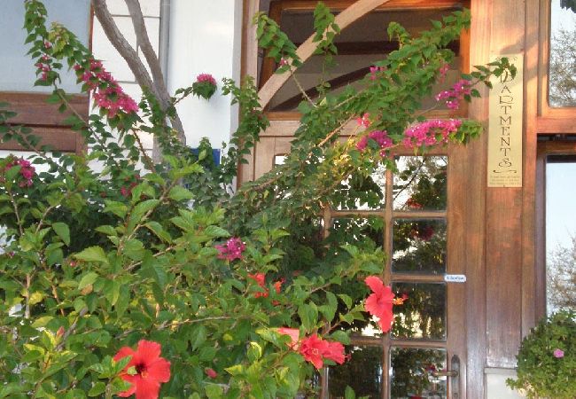 Apartamento en Drašnice - Apartamento en Drašnice con Seaview, Balcón, Acondicionador, WIFI (3586-1) Apartamento en Drašnice - Apartamento en Drašnice con Seaview, Balcón, Acondicionador, WIFI (3586-1)