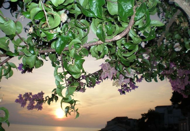 Apartamento en Drašnice - Apartamento en Drašnice con Seaview, Balcón, Acondicionador, WIFI (3586-1) Apartamento en Drašnice - Apartamento en Drašnice con Seaview, Balcón, Acondicionador, WIFI (3586-1)