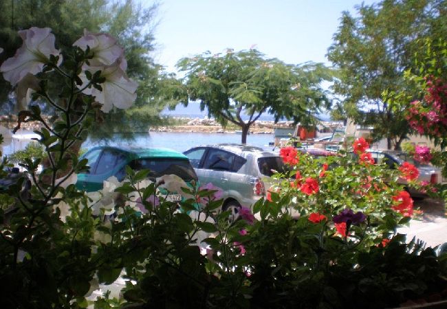 Apartamento en Drašnice - Apartamento en Drašnice con Seaview, Balcón, Acondicionador, WIFI (3586-1) Apartamento en Drašnice - Apartamento en Drašnice con Seaview, Balcón, Acondicionador, WIFI (3586-1)