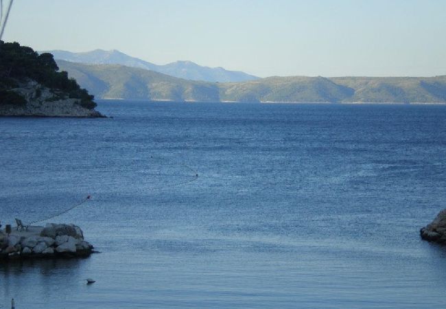 Apartamento en Drašnice - Apartamento en Drašnice con Seaview, Balcón, Acondicionador, WIFI (3586-1) Apartamento en Drašnice - Apartamento en Drašnice con Seaview, Balcón, Acondicionador, WIFI (3586-1)