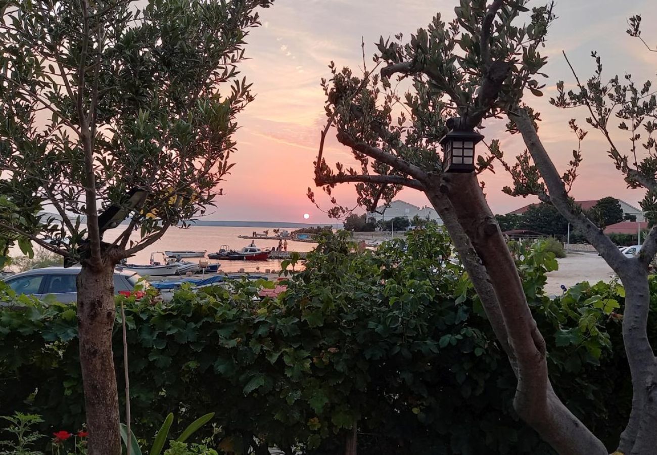 Apartamento en Kustici - Apartamento en Kustici con Seaview, Terraza, Acondicionador, WIFI (3597-2)