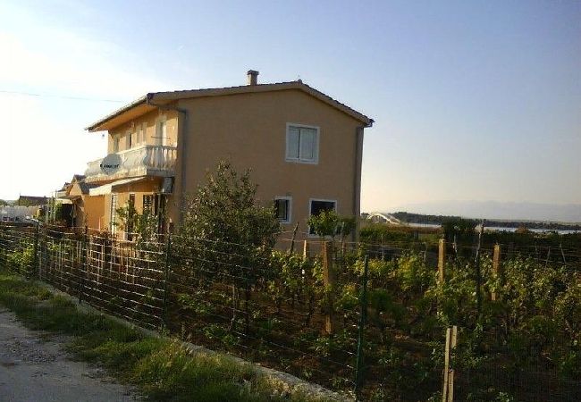 Apartamento en Privlaka - Apartamento en Privlaka con Seaview, Balcón, Acondicionador, WIFI (667-2) Apartamento en Privlaka - Apartamento en Privlaka con Seaview, Balcón, Acondicionador, WIFI (667-2)