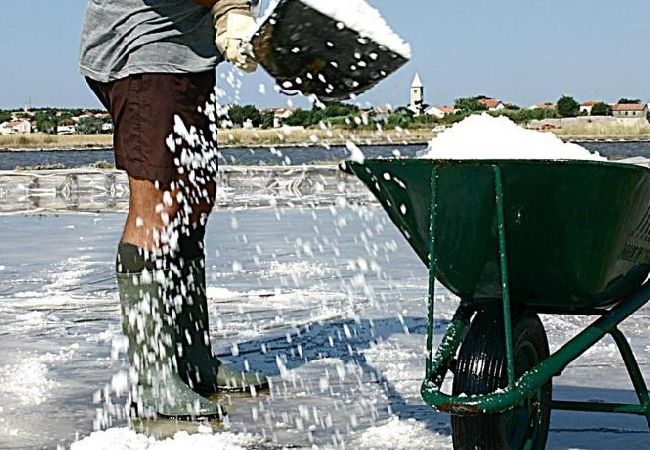 Apartamento en Privlaka - Apartamento en Privlaka con Seaview, Balcón, Acondicionador, WIFI (667-2) Apartamento en Privlaka - Apartamento en Privlaka con Seaview, Balcón, Acondicionador, WIFI (667-2)