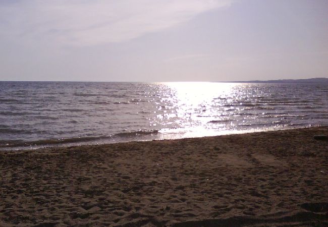 Apartamento en Privlaka - Apartamento en Privlaka con Seaview, Balcón, Acondicionador, WIFI (667-2) Apartamento en Privlaka - Apartamento en Privlaka con Seaview, Balcón, Acondicionador, WIFI (667-2)