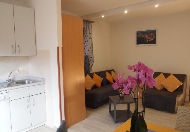 Apartamento en Novigrad - Apartamento en Novigrad con Terraza, Acondicionador, WIFI, Lavadora (3663-1) Apartamento en Novigrad - Apartamento en Novigrad con Terraza, Acondicionador, WIFI, Lavadora (3663-1)