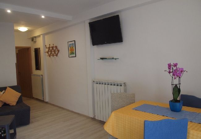 Apartamento en Novigrad - Apartamento en Novigrad con Terraza, Acondicionador, WIFI, Lavadora (3663-1) Apartamento en Novigrad - Apartamento en Novigrad con Terraza, Acondicionador, WIFI, Lavadora (3663-1)