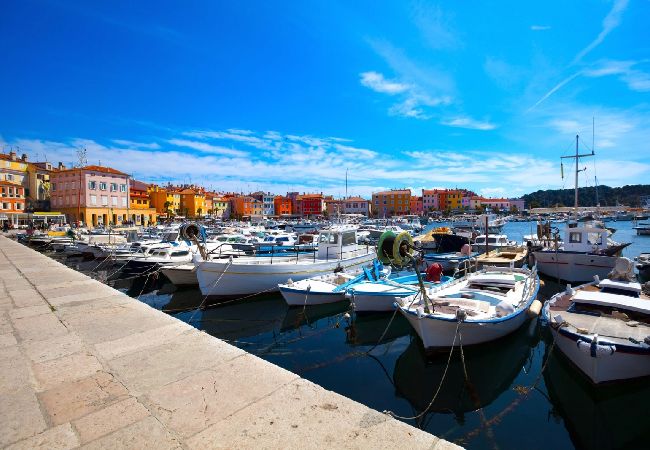 Apartamento en Novigrad - Apartamento en Novigrad con Terraza, Acondicionador, WIFI, Lavadora (3663-1) Apartamento en Novigrad - Apartamento en Novigrad con Terraza, Acondicionador, WIFI, Lavadora (3663-1)