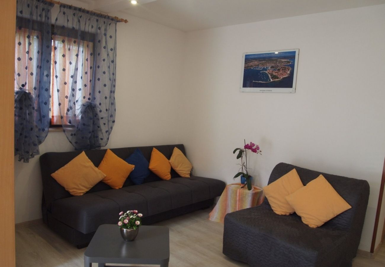 Apartamento en Novigrad - Apartamento en Novigrad con Terraza, Acondicionador, WIFI, Lavadora (3663-1)