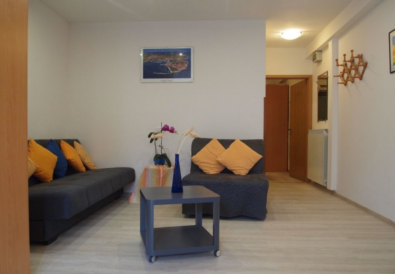 Apartamento en Novigrad - Apartamento en Novigrad con Terraza, Acondicionador, WIFI, Lavadora (3663-1)