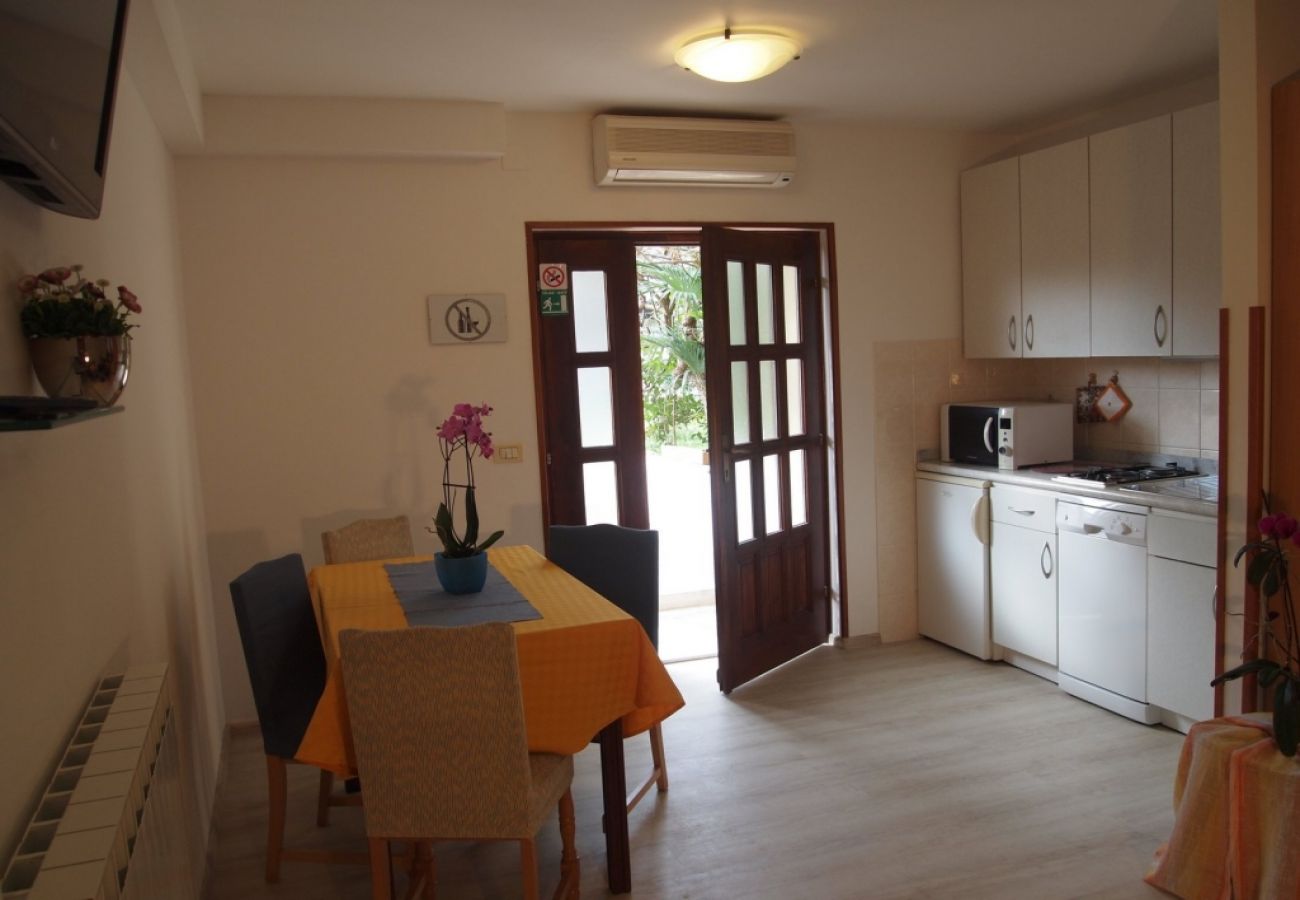 Apartamento en Novigrad - Apartamento en Novigrad con Terraza, Acondicionador, WIFI, Lavadora (3663-1)