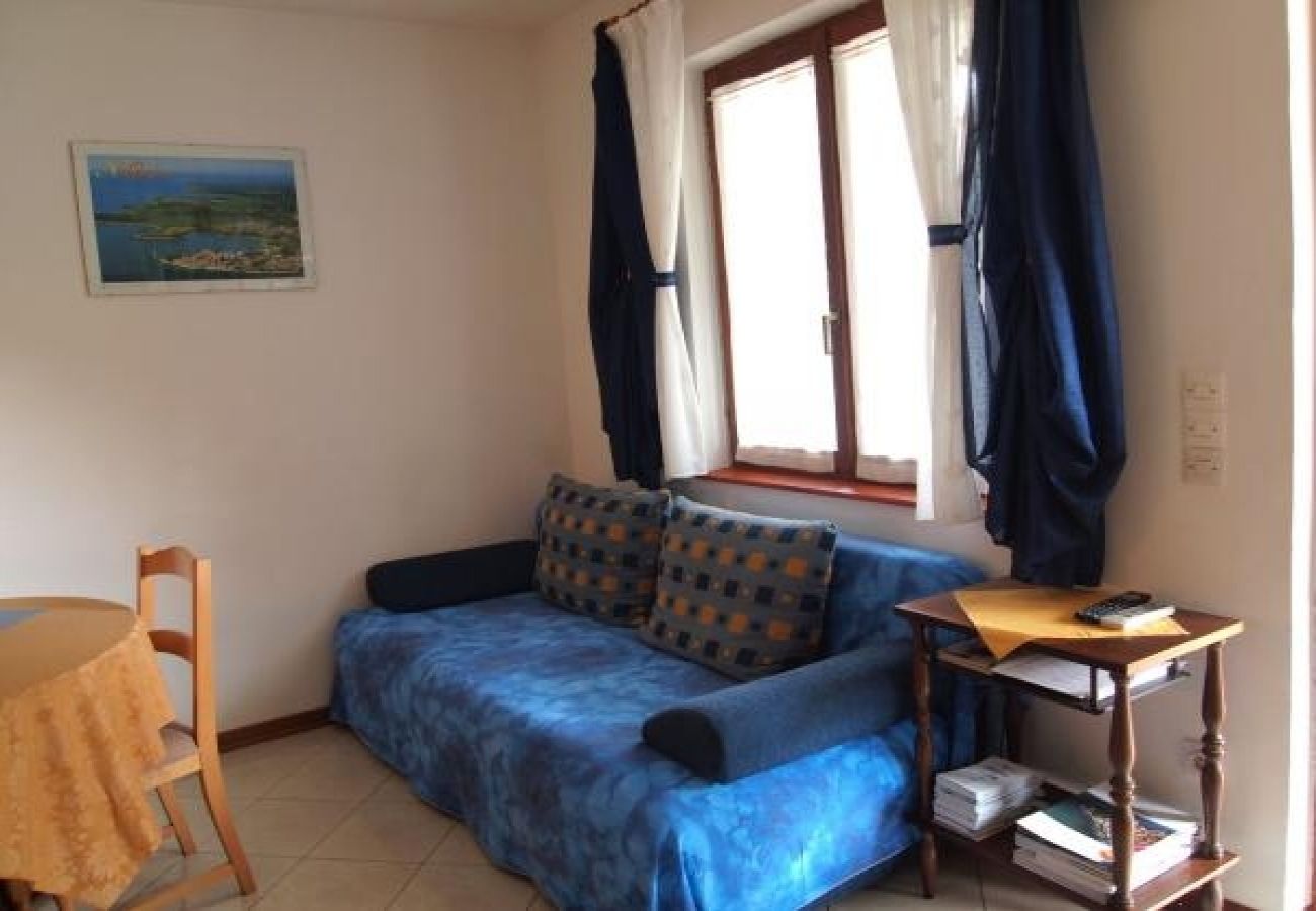 Apartamento en Novigrad - Apartamento en Novigrad con Terraza, Acondicionador, WIFI, Lavadora (3663-2)