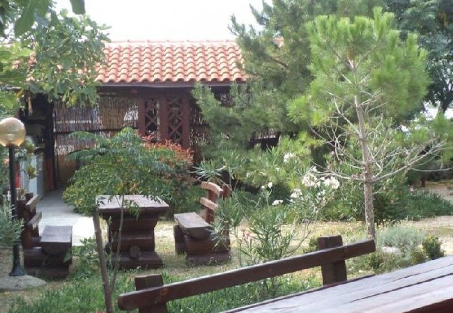 Apartamento en Rab - Apartamento en Barbat con Seaview, Balcón, Acondicionador, WIFI (3664-4) Apartamento en Rab - Apartamento en Barbat con Seaview, Balcón, Acondicionador, WIFI (3664-4)