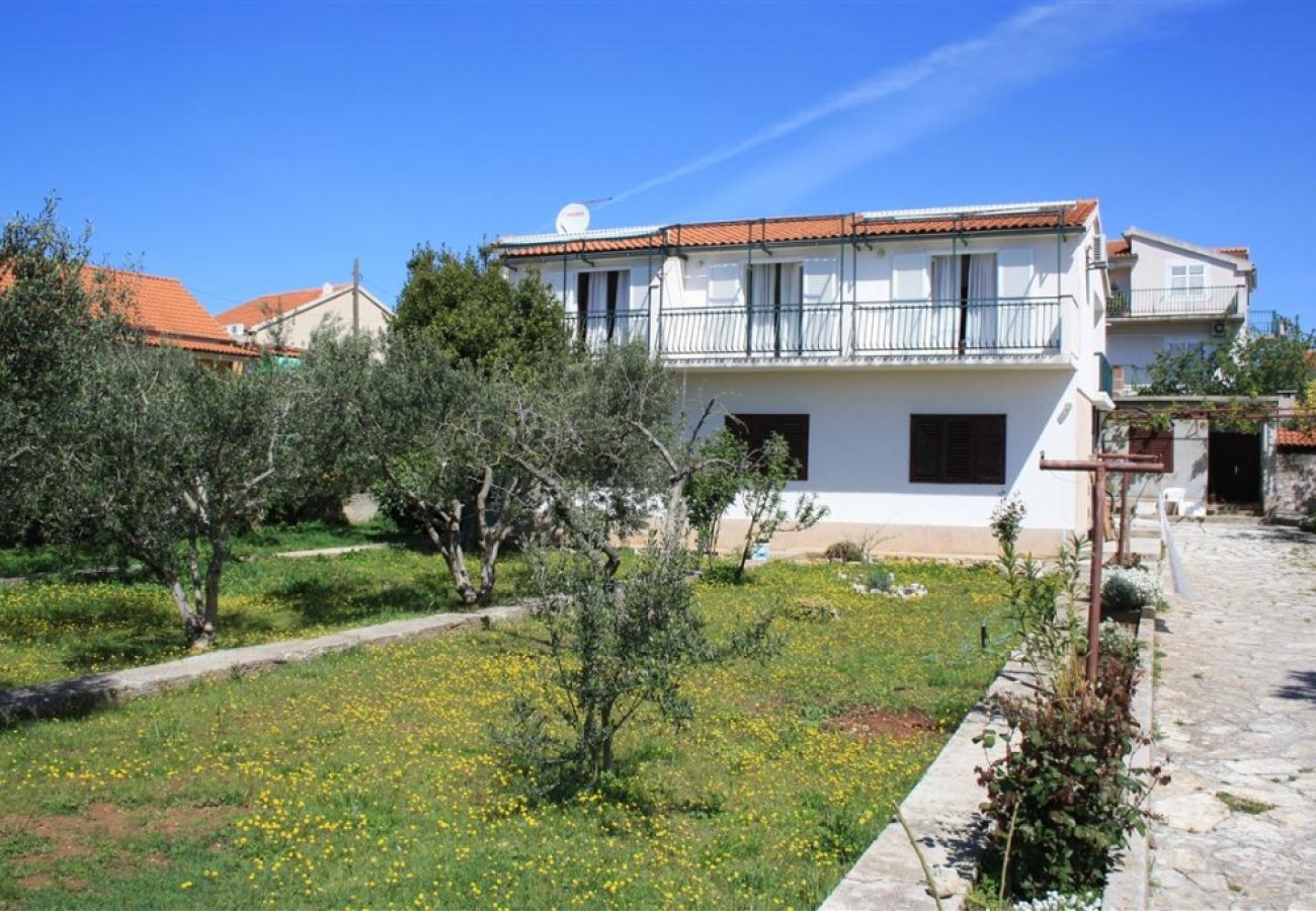 Apartamento en Vodice - Apartamento en Vodice con Terraza, Acondicionador, WIFI, Lavadora (3671-6)