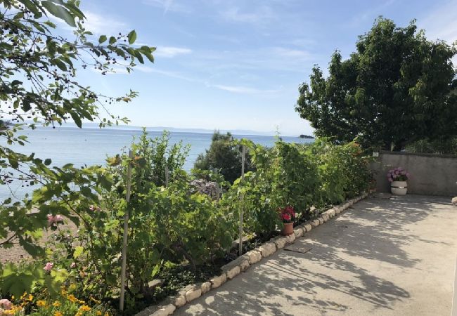 Apartamento en Kampor - Apartamento en Kampor con Seaview, Terraza, Acondicionador, WIFI (3708-1) Apartamento en Kampor - Apartamento en Kampor con Seaview, Terraza, Acondicionador, WIFI (3708-1)