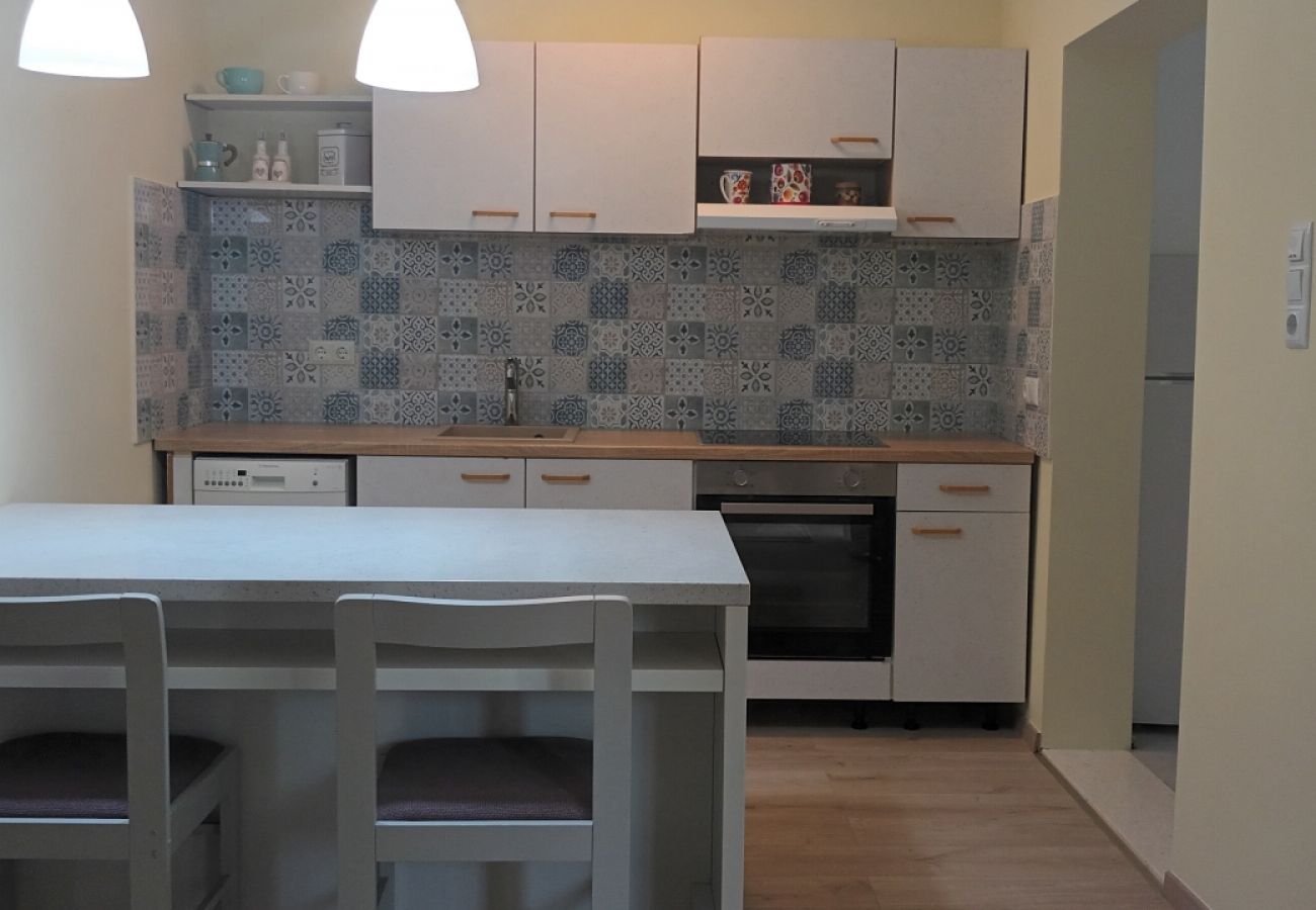 Apartamento en Ražanj - Apartamento en Ražanj con Terraza, Acondicionador, WIFI, Lavadora (3743-3)