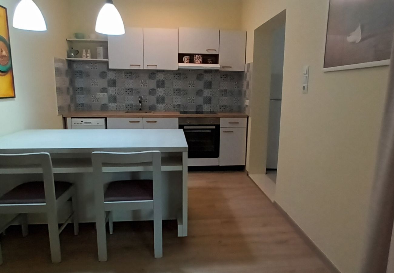 Apartamento en Ražanj - Apartamento en Ražanj con Terraza, Acondicionador, WIFI, Lavadora (3743-3)