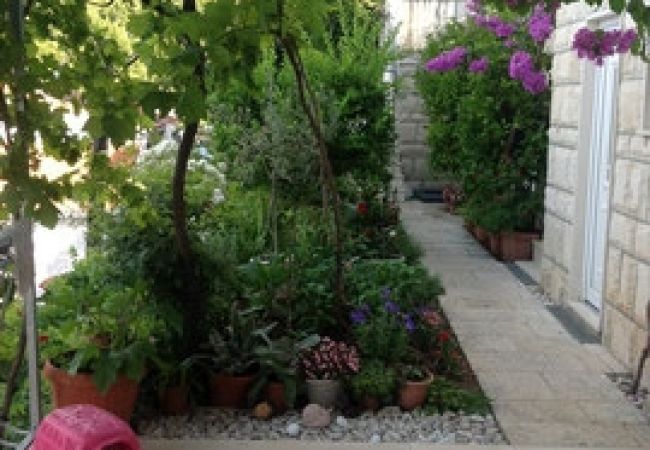 Apartamento en Stanici - Apartamento en Stanići con Seaview, Terraza, Acondicionador, WIFI (3782-5) Apartamento en Stanici - Apartamento en Stanići con Seaview, Terraza, Acondicionador, WIFI (3782-5)